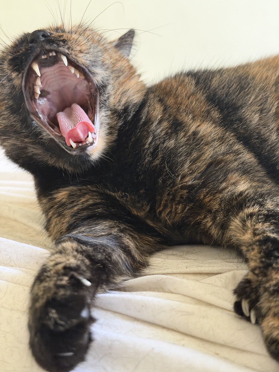 โฉมหน้าคนไปหาหมอแต่ไม่ออกมาหาหมอ