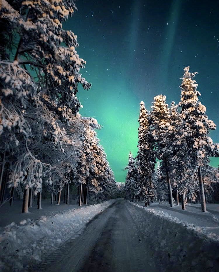 My path leads to beautiful dreams now…
Peaceful and restful night for all 💙

#goodnight #lapland #asgleoo from 🇫🇮