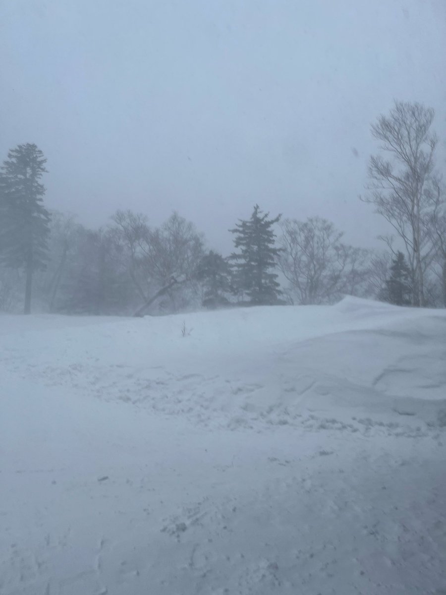 ak_snowboard's tweet photo. 昨日KITSBの子たちと黒岳でシーズンインしてきました☃️
カービング・グラトリ・地形遊び・パウダー・ハイクと「神々の遊ぶ庭」らしくスノーボードできました🏔️✨後輩のGRAYライダー君と友人も駆けつけてきてくれてわちゃわちゃ楽しく滑れました✨昼からデスペタイプR乗せられる暴挙も味わいましたwww https://t.co/zXbIR7AY7N