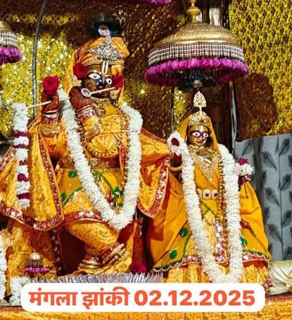 KrishnaG_Sharma's tweet image. जय श्री राधा गोविन्द! 🕉️ 🙏
मंगला झांकी 🪔✨
मंदिर श्री गोविन्ददेवजी, जयपुर 🛕 
मंगलवार, 2 दिसंबर 2025
मार्गशीर्ष शुक्ल द्वादशी, वि. सं. 2082
Shri Govind Dev ji, Jaipur 
Tuesday, December 02, 2025
#जयश्रीराधागोविन्द #GovindDevJi #Jaipur #ManglaJhanki #RadhaKrishna #Bhakti…