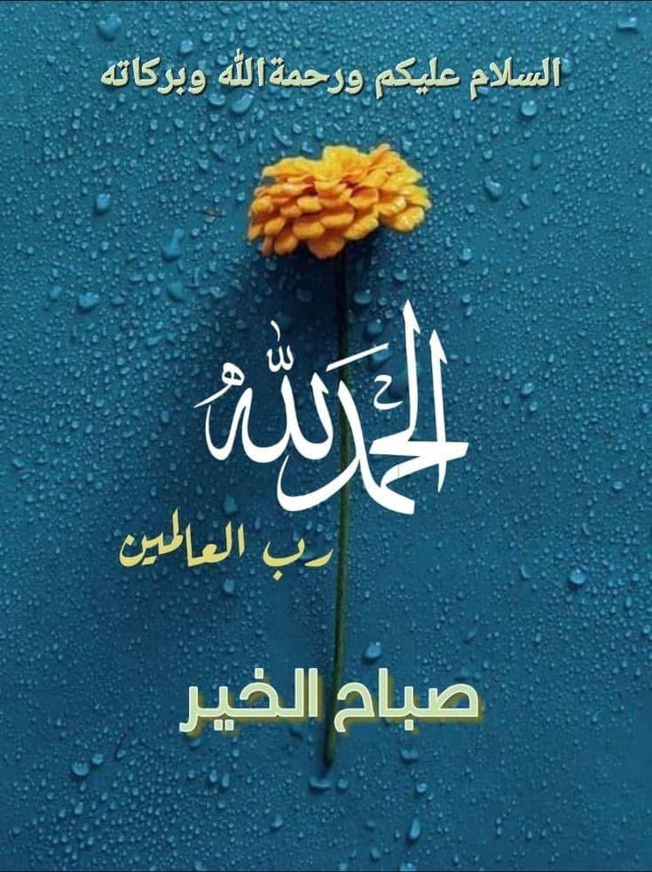 اسلام علیکم ورحمتہ اللہ وبرکاتہ 
صبح بخیر فرینڈز🌅