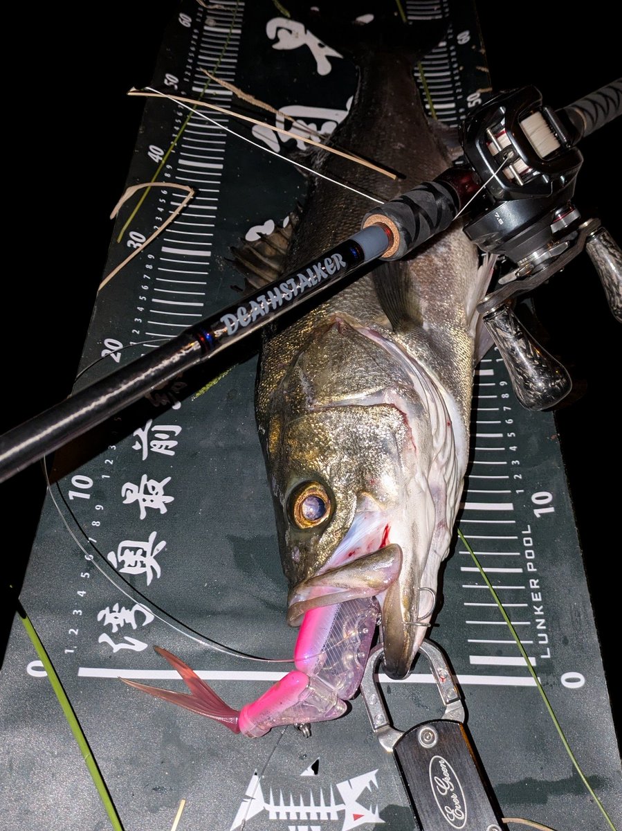 sumida_hunter's tweet photo. サッパに混じってイナッコが入って来たタイミング🐟フックの位置見えず抜き上げたら頭からガッツリ🔥
#DEATHSTALKER710
#ReMakeRod1787
#HARDBITEBBS8
#DRT
#TiNYKLASH
#lunkerpool https://t.co/m1iHMJ8CKn