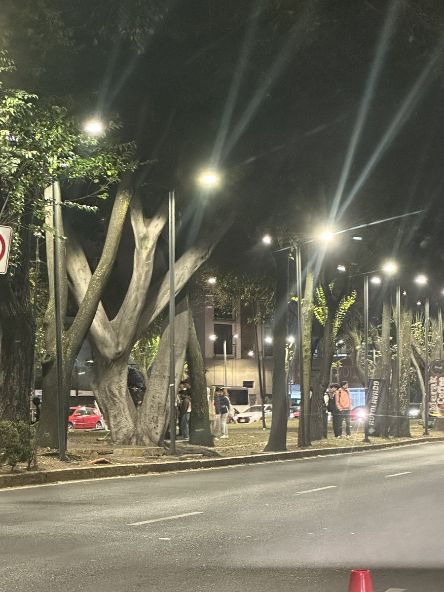 Gayetax's tweet photo. Hay un joven tirado en el parque que está sobre división del norte, adelante de la prepa 5 @C5_CDMX https://t.co/X3n0gvpS6r