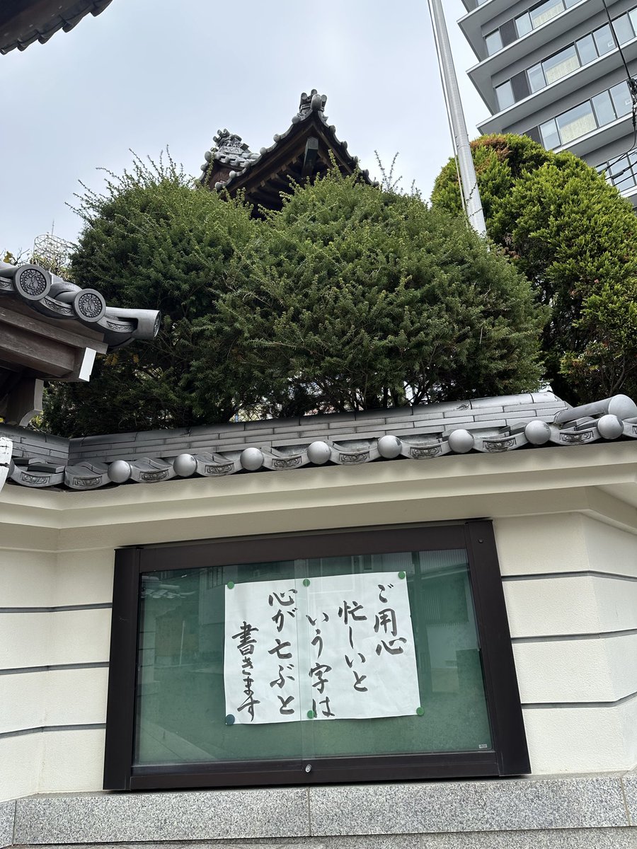 19PHALCON84's tweet photo. 本日の安楽寺 https://t.co/noHRAjjdrq