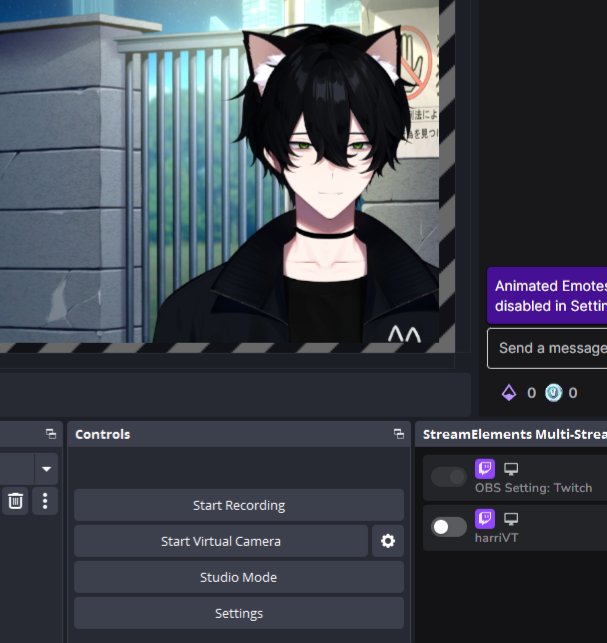 harriVT's tweet photo. "you should stream more" bro my stream button is ACTUALLY MISSING https://t.co/rsZkfY9xoO