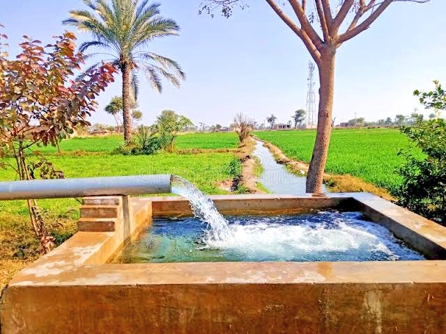 आपके पास जो है उसका सम्मान करिए क्योंकि कुछ लोगों के लिए ये सब पाना एक सपना होता है!

Good Morning X family🌈Tm.....b