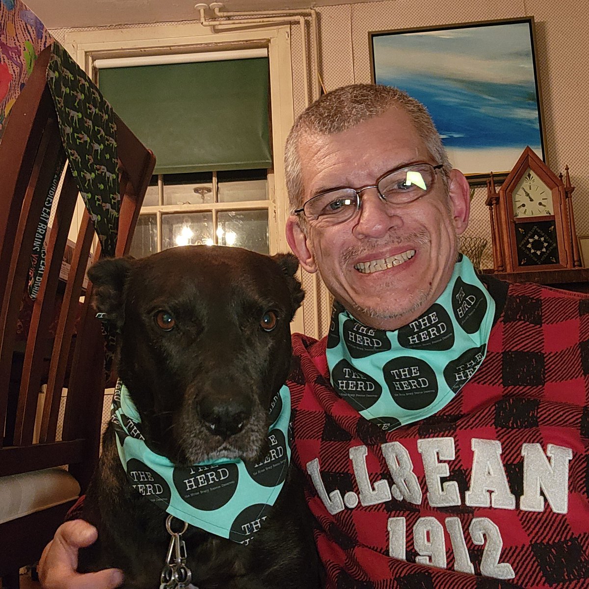 Even humans can wear the bandanas.  Here we are in the official <a href="/TheHerdHouse/">THE HERD HOUSE</a> bandana which are still available.  Dad and I both wear a large.  I was being silly in some of the photos.