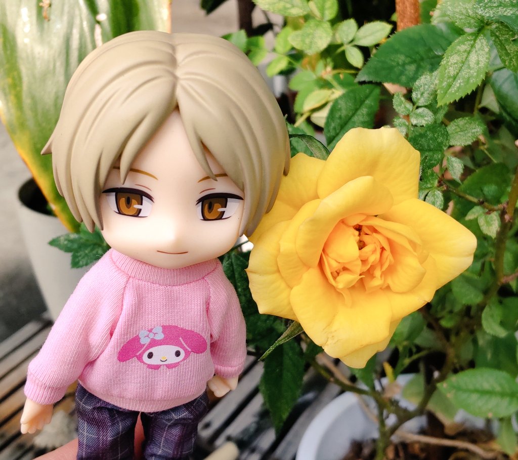 三色 (@mokamisama) / Posts / X