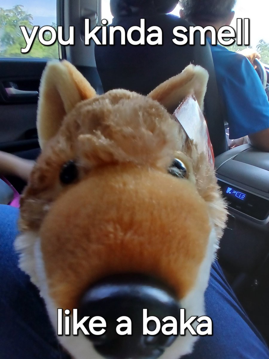 npaujnpaim25's tweet image. QRT with a #meme you made
#fox #plush