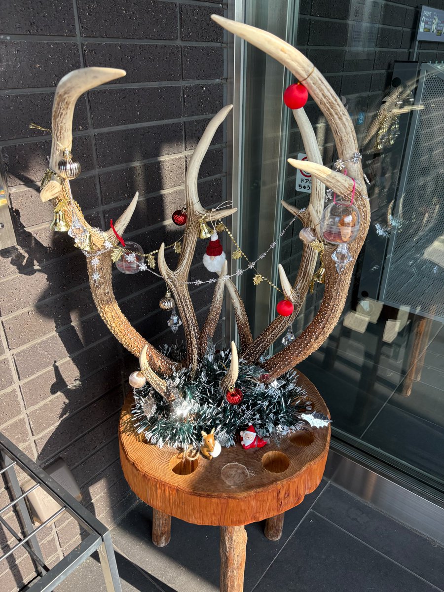 AichiAsahiSite's tweet photo. 【クリスマス企画】
建物の中に設置した「クリスマスカプセル」に木の実や落ち葉を入れてオーナメントを作りましょう。
つくったオーナメントは本館受付にお渡しください。
本館玄関にある「鹿角ツリー」に飾ります！
ぜひ参加してくださいね！

#あいち朝日遺跡ミュージアム
#クリスマス https://t.co/j2gREbGxD6