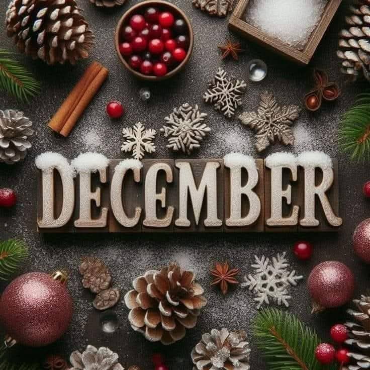 Airfemale14's tweet photo. 🎅 #December1st ✨️
#Christmas 🎄 https://t.co/dyEmgKZlsX