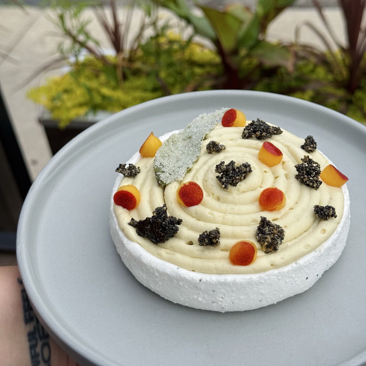 swagmongoose's tweet photo. Been a minute…

2025 Pastry Update https://t.co/5qRHqfHijC