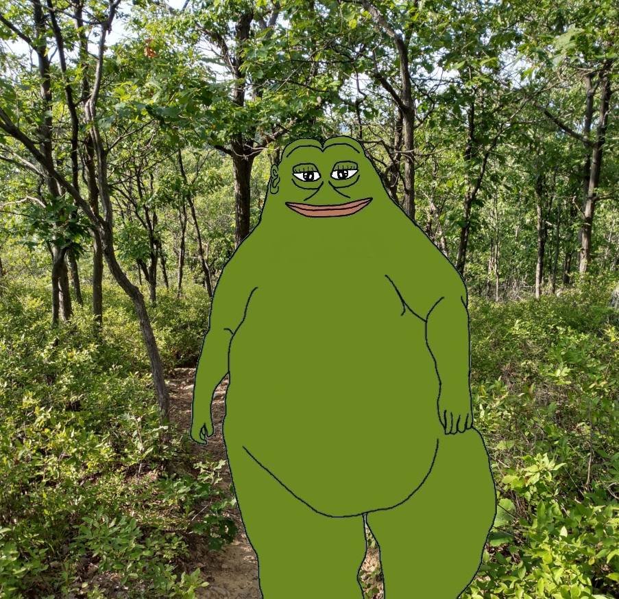 Groyper tweet media