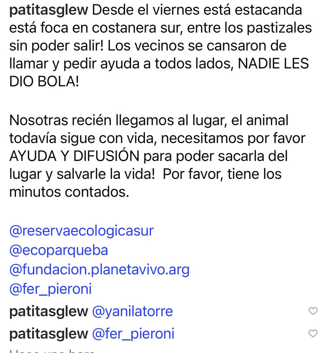 🚨Por favor máxima difusión🚨Hay una foca encallada en la Costanera. Han pedido ayuda y nadie fue a rescatarla! Puede ir alguien? <a href="/gcba/">Buenos Aires Ciudad</a> <a href="/ecoparqueBA/">EcoparqueBA</a> 
Gracias!