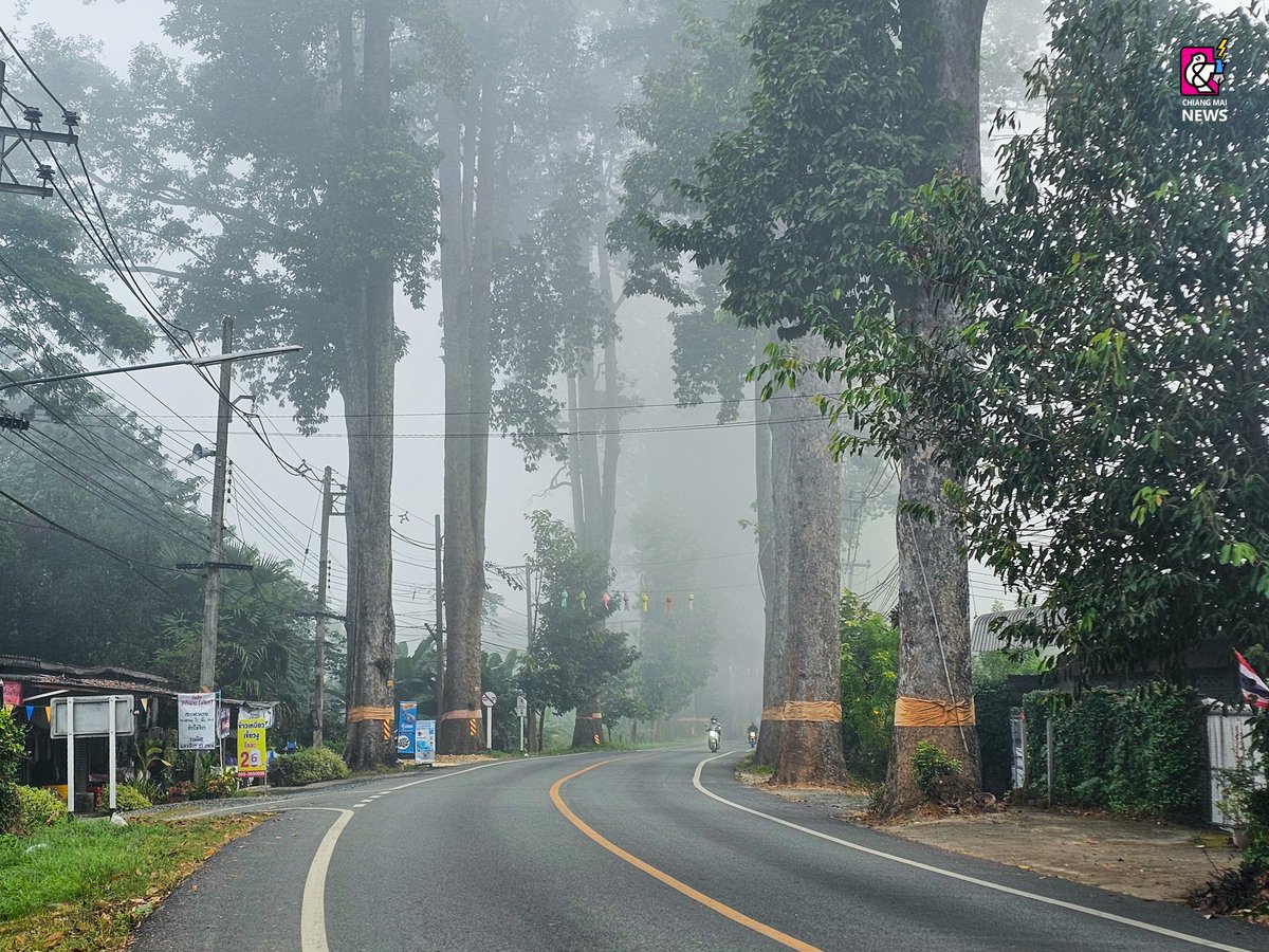 chiangmainews's tweet image. ป๊าดดด เชียงใหม่หมอกลงหนามากเช้านี้ ‼️🥶

บรรยากาศเช้าวันนี้ หลายที่ใน จ.เชียงใหม่ อากาศหนาวเย็น หมอกลงหนาจัด ขับขี่ระมัดระวังกันเน้อเจ้า (2 ธ.ค. 68) 
.
ภาพ : เชียงใหม่นิวส์, แฟนเพจเชียงใหม่นิวส์

#เชียงใหม่นิวส์ #chiangmainews