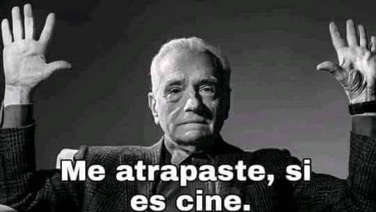 Noah (@noahhxyz) on Twitter photo 