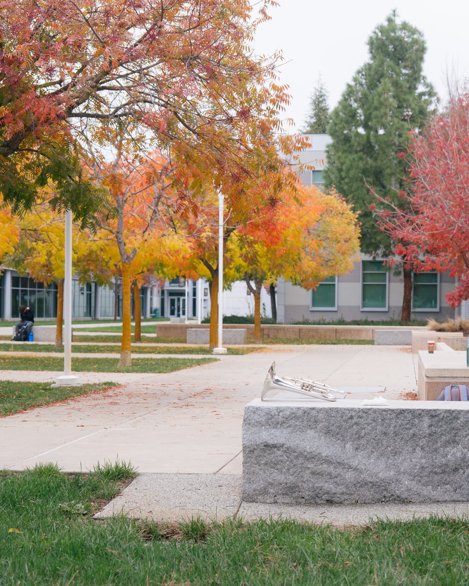 The Blue Devils ✨ tweet media