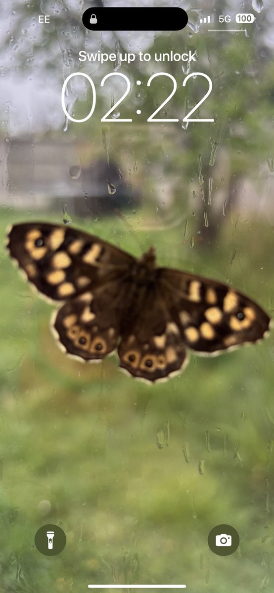 💛 Saneeta 💛 (@sache8888) on Twitter photo 