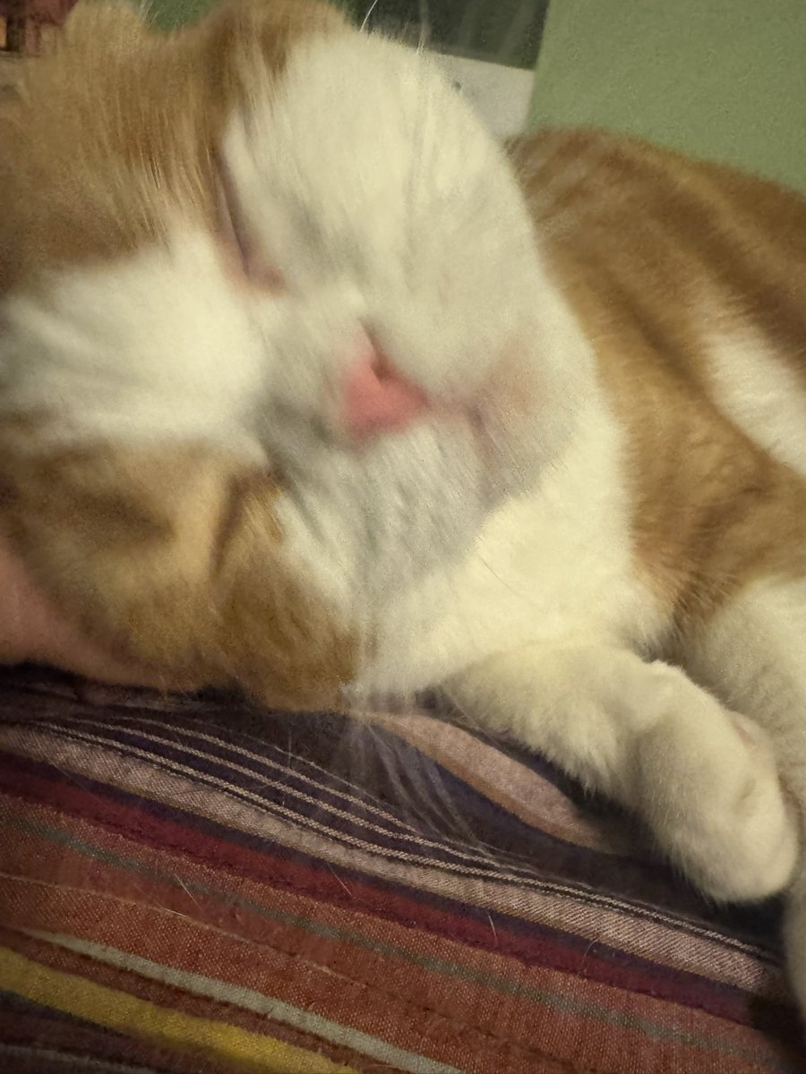 wackelvaney's tweet image. Don&apos;t say that this is never going to happen / Because I believe in everything that has a reason