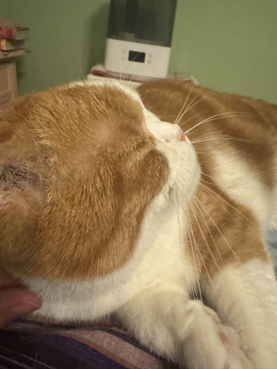 wackelvaney's tweet image. Don&apos;t say that this is never going to happen / Because I believe in everything that has a reason