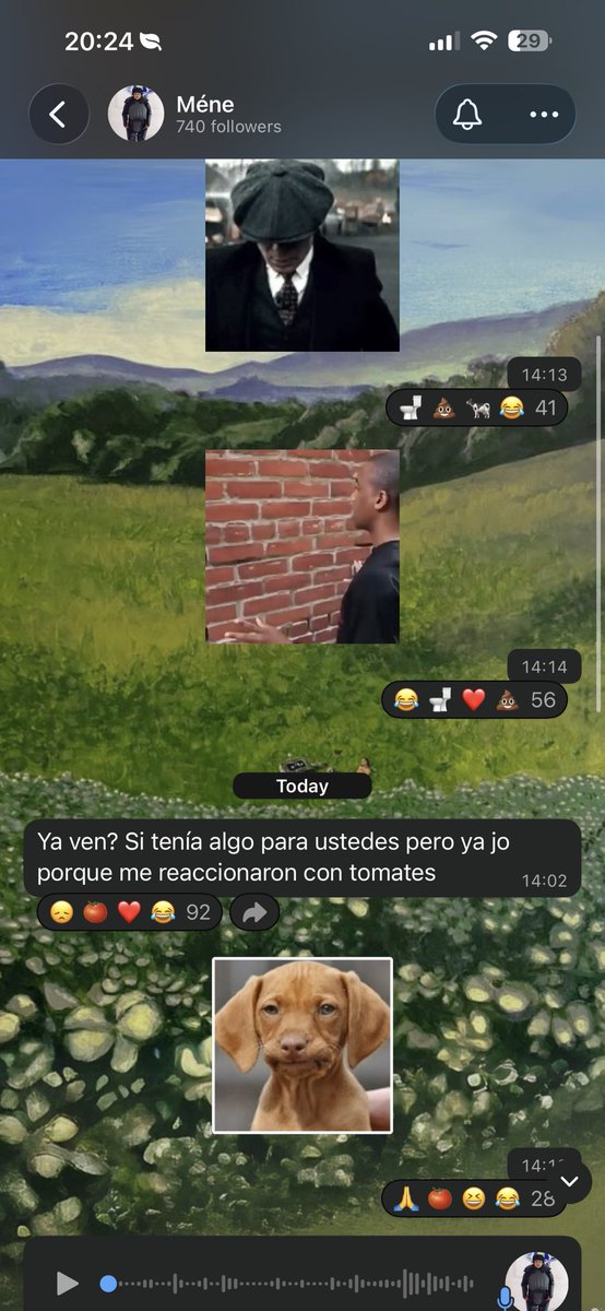 elacentodemene's tweet photo. Los del chat de ws son otro pedo 😭🍅🚽@meneconacento_ https://t.co/WfPGSOkb6b