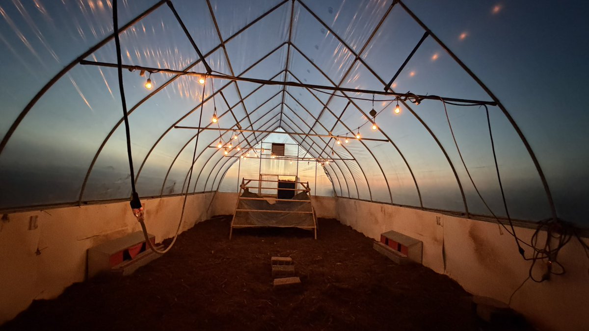 TheUberGuy tweet media