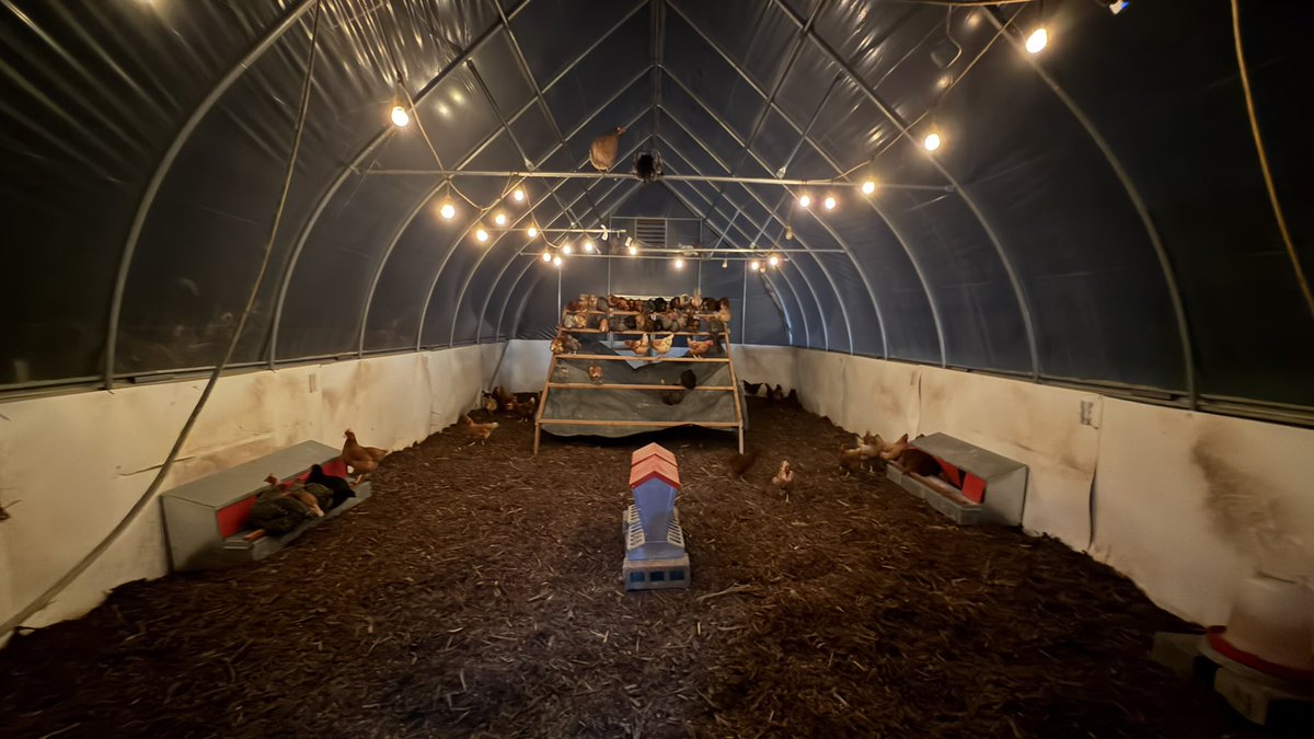 TheUberGuy tweet media