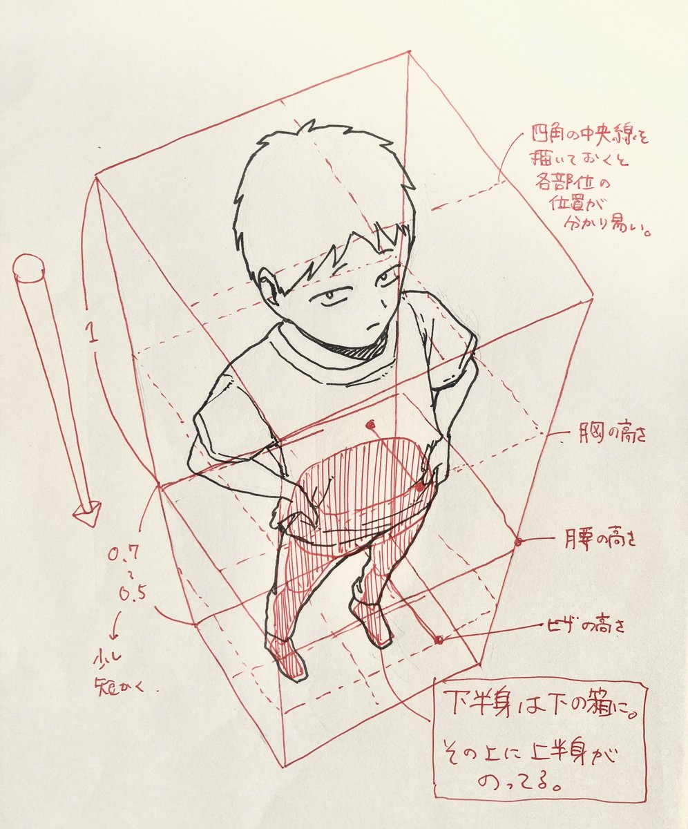 hatsudayoooo's tweet image. 漫画家志望フレンズへ
最近、アオリとフカンを描くのに勉強した事は
「全体を箱に入れて、箱ごとパースをかける」です。
人間の比率をそのままパースをかけて、胸の位置、腰の位置、膝の位置、と圧縮したり伸ばしたりしてます。
#日々描く