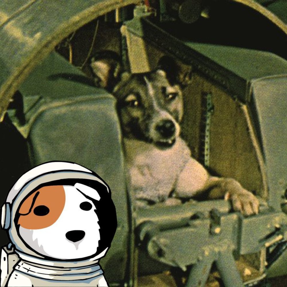 lovinglaika's tweet photo. first in space.

forever in history. https://t.co/mxK5lQhnde