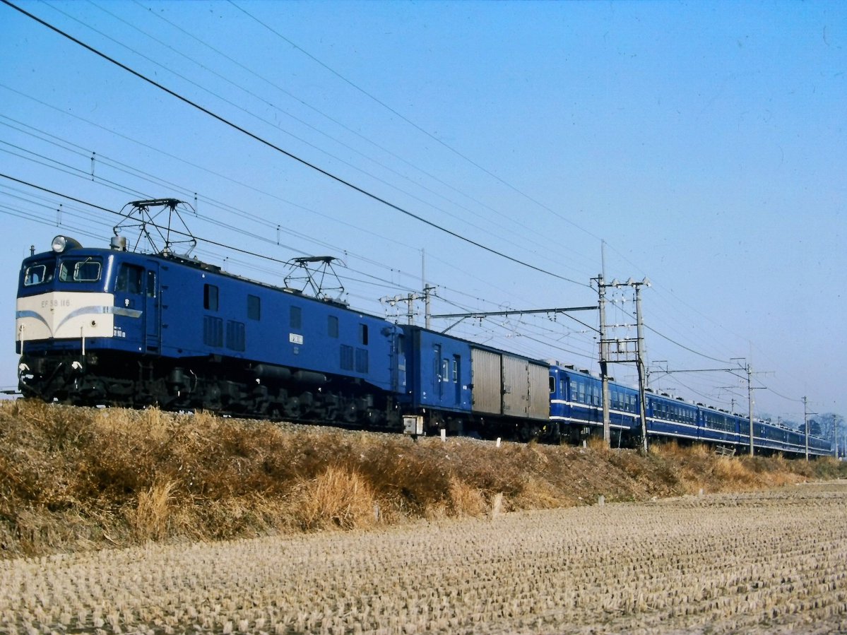 MsLABO6's tweet image. #見た人は無言で急行の写真を貼る