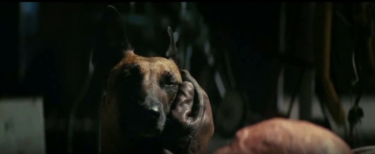 iridescentuwuwu's tweet image. Going from &quot;I&apos;m sorry, Dogmeat, but you ain&apos;t him&quot; to petting her like this while he lays there injured and she keeps him company? This time I&apos;m really gonna do it.