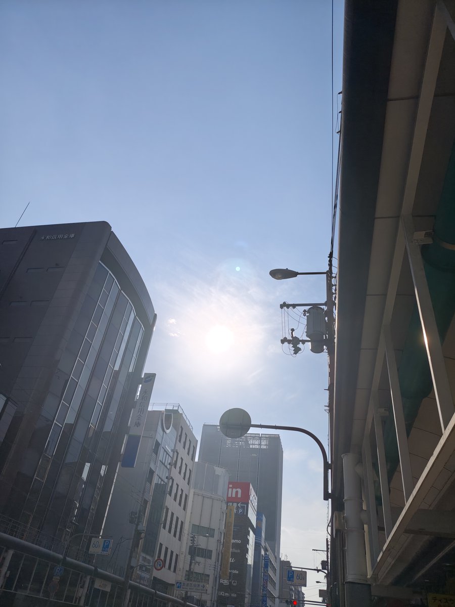 PCONES's tweet image. こんにちワンズ！
昨日に引き続き暖かい朝ですね、最高気温も19℃予報と穏やかな一日になりそうです。
なお明日からは気温が下がり木曜日の最高気温は10℃予報、気温の変動が激しいので体調管理にはお気を付けください。

それでは本日の営業スタートです！…