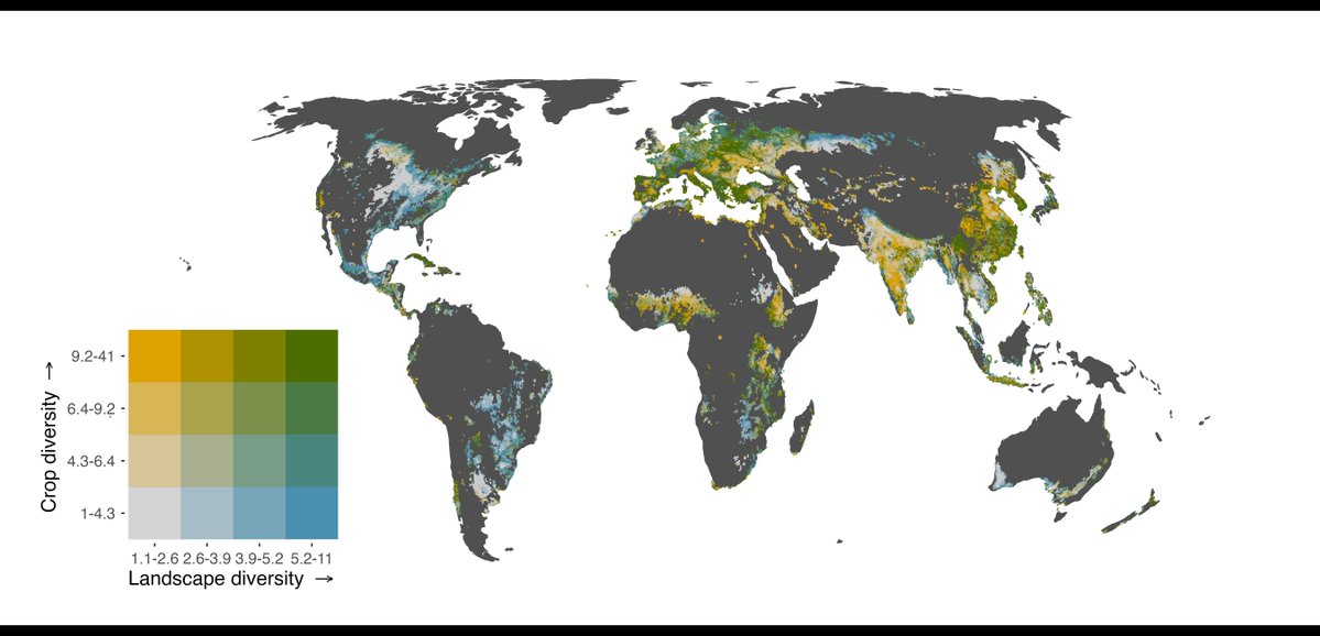 The Global Spatial Co‐Variation Between Crop Diversity and Landscape Heterogeneity 

🔗 buff.ly/6a2g9mV
<a href="/gk_macdonald/">Graham MacDonald</a>