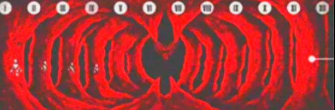 Dimension X Enthusiast tweet media