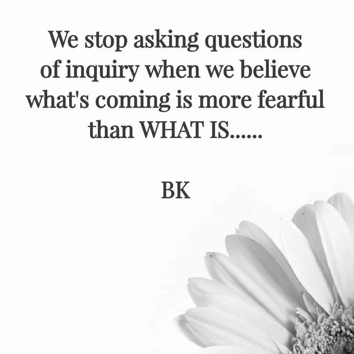 balakrishnaj's tweet image. #asking #questions #inquiry #believe #coming #fearful #quotesaboutlife #bk #bkjayasimha