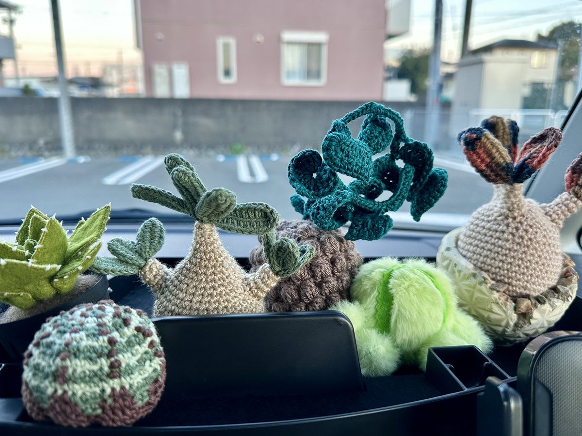 おはようございます🍍
本日の岡崎市は☀️

12月です。
師走で走ってます🏃💨
今日は暖かくなりそうですね😊
元気にいきましょう🍍

 #企業公式が毎朝地元の天気を言い合う