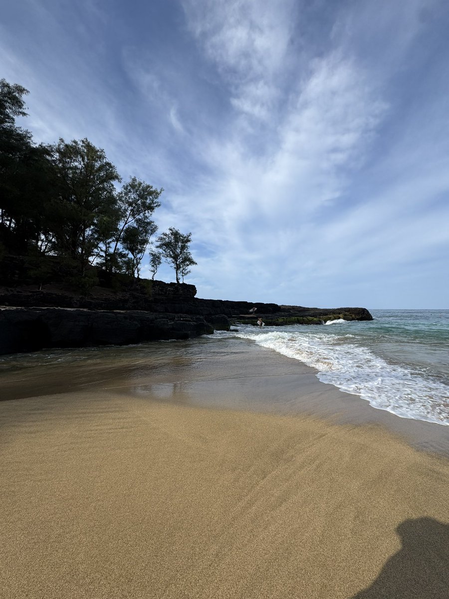 stephobutto's tweet photo. HAWAII 🌴🏖️🌊🏄🏽 https://t.co/Pprx5AC4xQ