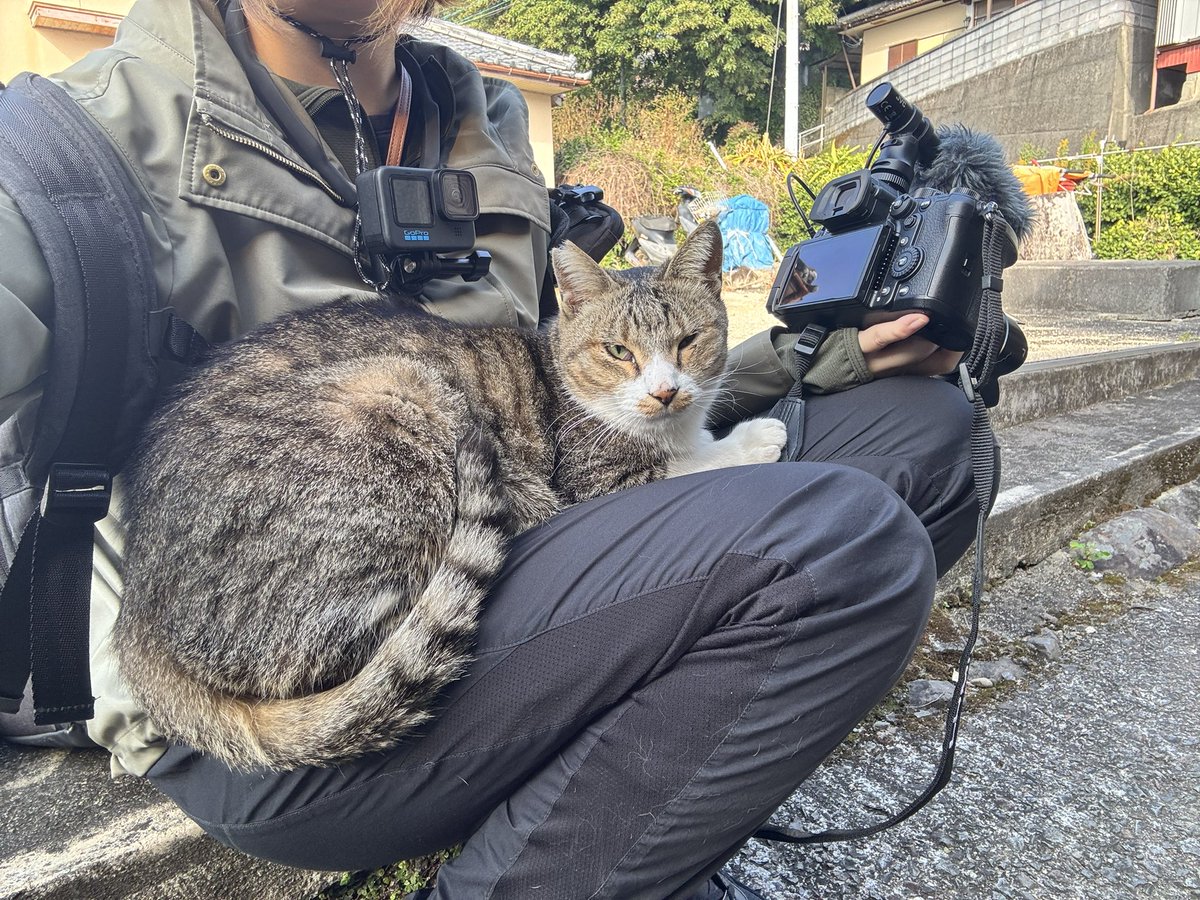 Kumanichi_digi's tweet image. ﾈｺﾁｬﾝ！！！！！困ります！！！！！ﾈｺﾁｬﾝ！！！！！！！！！