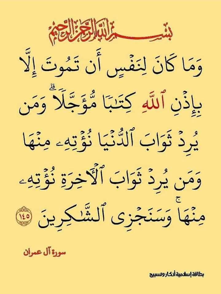 Hasseb (@hassebhh67) on Twitter photo 