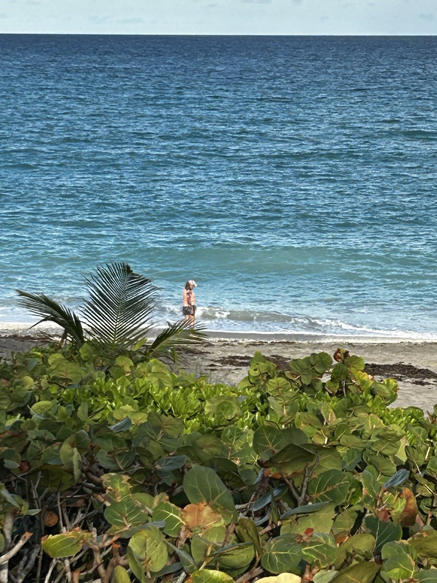 Eric Lundman tweet media