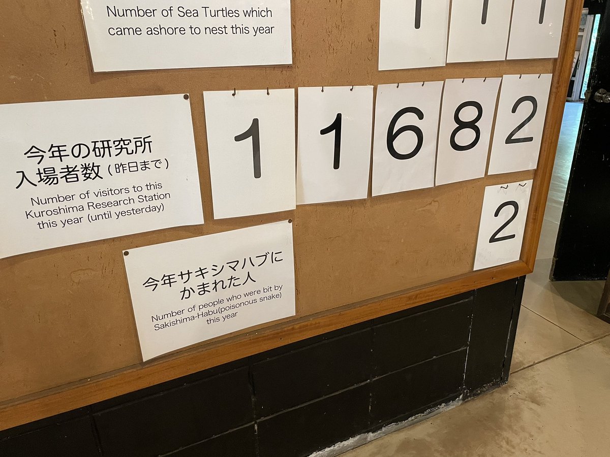 今年も残すところ1ヶ月
多くのお客様にお越しいただきました。
年末年始も毎日開館しておりますので、冬休みに旅行をお考えの方もぜひお越しください。

そして夜道にもお気をつけください…🐍