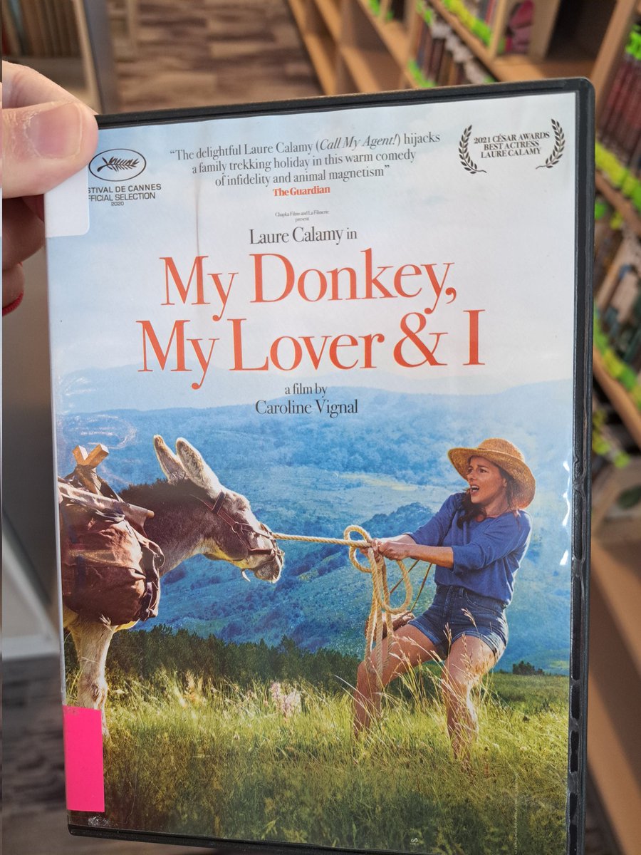 Long Distance: Stories: Aysegül Savas: Bloomsbury Publishing - Bloomsbury, image size:900x1200