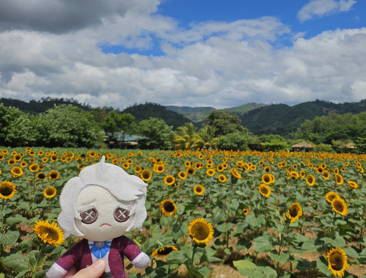 kreiburgcito's tweet image. this is easier said than done but here&apos;s what i think of that helps me:

YOU ONLY LIVE ONCE!
i used to be scared before too, but living a life in fear when i could be having the most fun ever is not a life i want to live.. and trust me, i AM having the most fun ive had in ages!!