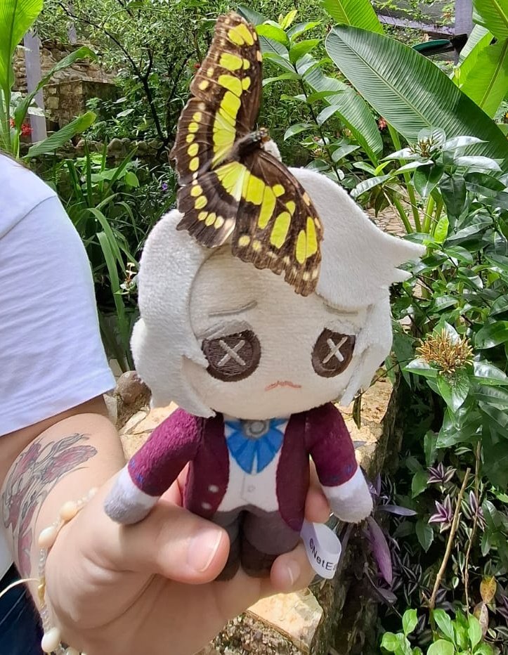 kreiburgcito's tweet image. this is easier said than done but here&apos;s what i think of that helps me:

YOU ONLY LIVE ONCE!
i used to be scared before too, but living a life in fear when i could be having the most fun ever is not a life i want to live.. and trust me, i AM having the most fun ive had in ages!!