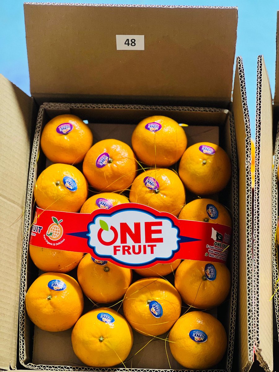 onefruitpk's tweet image. 🍊 SIZE 48 – PREMIUM EXPORT KINNOW 🍊
Fresh, bright color, waxed &amp;amp; graded Size 48 now ready for worldwide export.
Sweet taste • Uniform size • High demand.

📦 Packing: 10kg / 9kg (as required)
📞 Orders: wa.me/923044822141