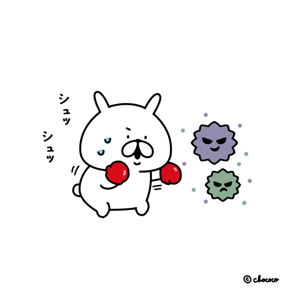 chococo@ゆるうさぎ (@___chococo___) / Posts / X