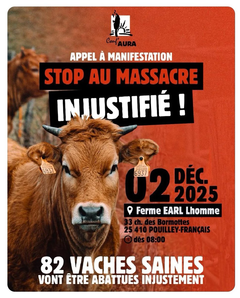 marseille_jeff's tweet image. 🔴 La mort souhaitée de l&apos;élevage français par l&apos;État français, justifié par la cour des comptes pour des raisons climatiques.
Et pour forcer l&apos;alimentation végane, la viande de laboratoire et à base d&apos;insectes à une échelle globale. Le moment est grave.⤵️
bonsens.info/rapport-alimen…