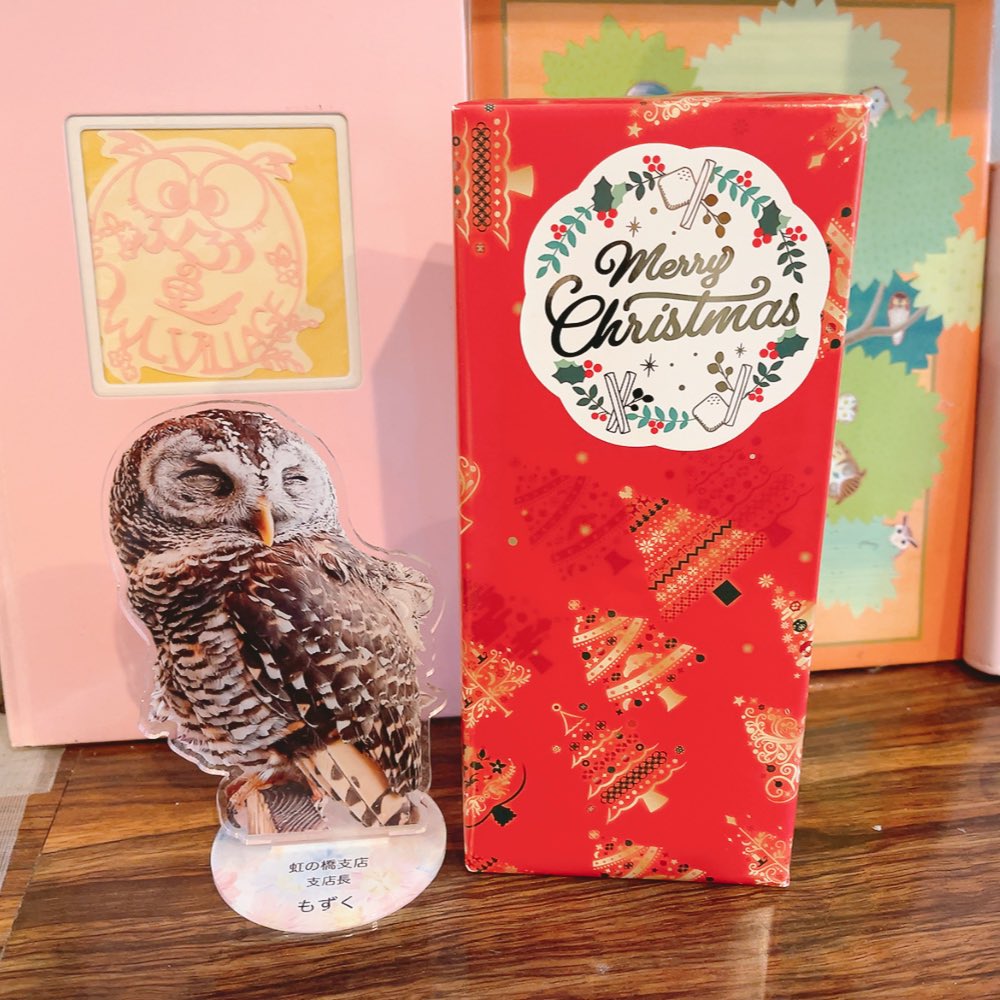 🌈原宿店🌈】 もじゅの日に もじゅにサンタさんが来てくれました