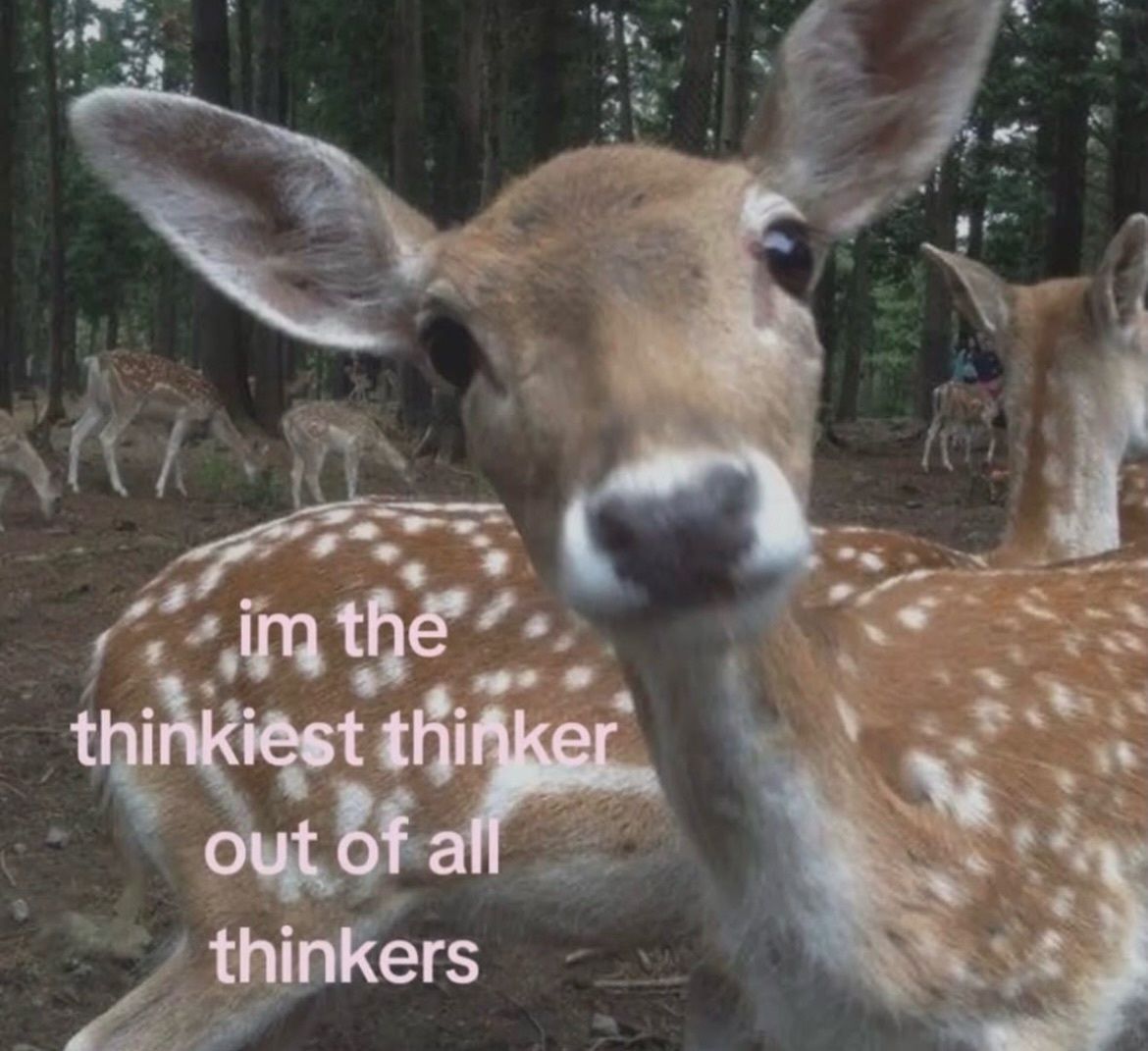 YJ (@yjwavy) on Twitter photo 