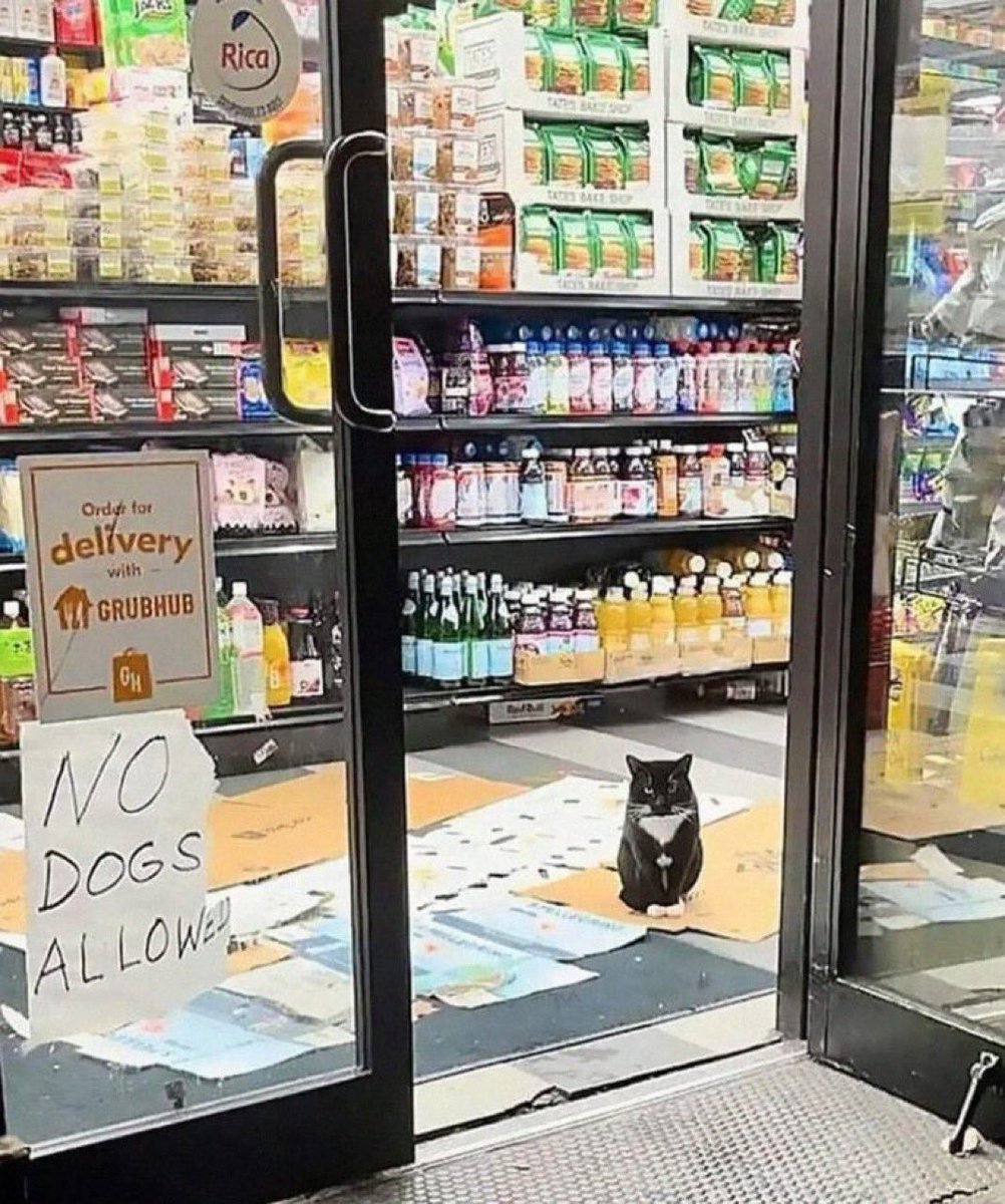 To my friends, everything; to my enemies, the law.